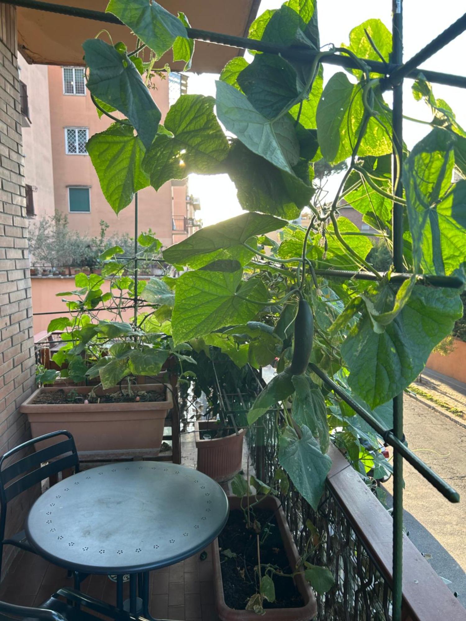 La Fontana Di Carlotta Bed & Breakfast Rome Exterior photo