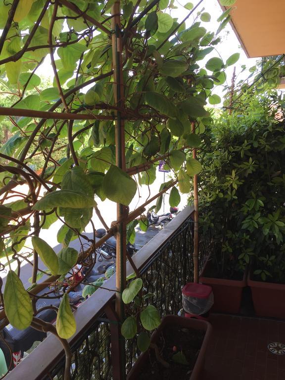 La Fontana Di Carlotta Bed & Breakfast Rome Exterior photo