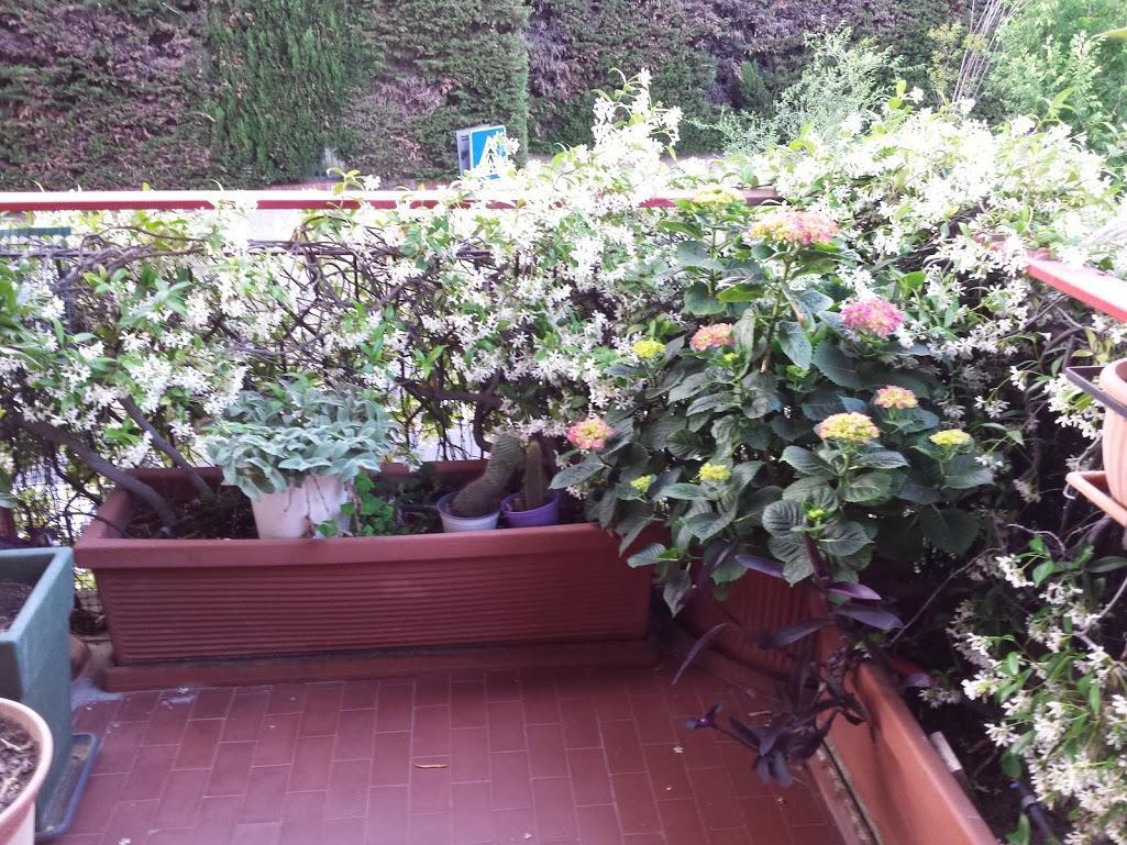 La Fontana Di Carlotta Bed & Breakfast Rome Exterior photo